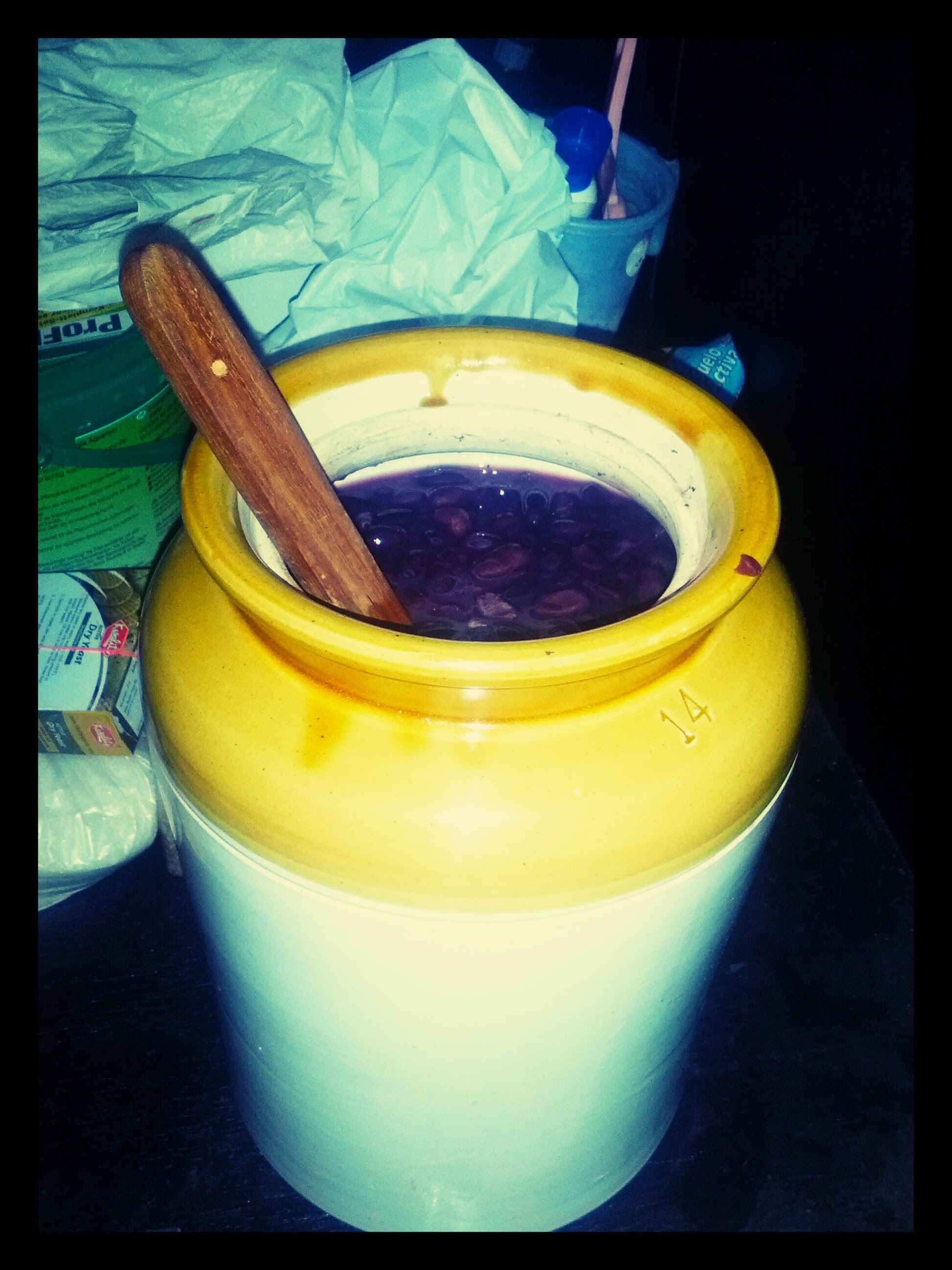 Homemade Red Wine (Indian Edition)