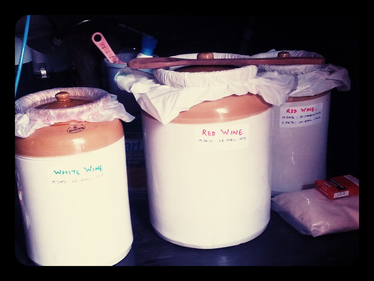 Homemade Red Wine (Indian Edition)